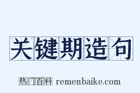 关键期造句是什么意思的图片